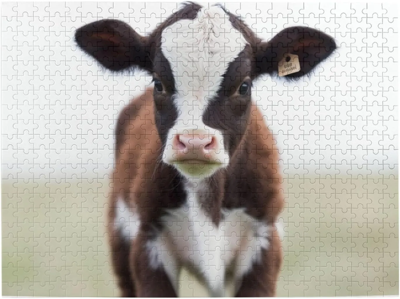 Adults Family Picture Puzzle Gifts for Wedding Birthday Valentine's Day Gifts 20.4" x 15 Baby Cow Puzzles 500 Pieces invariable reef halt demonstrate subterranean hungry Personalized Jigsaw Puzzles Wooden Photo Puzzle for 