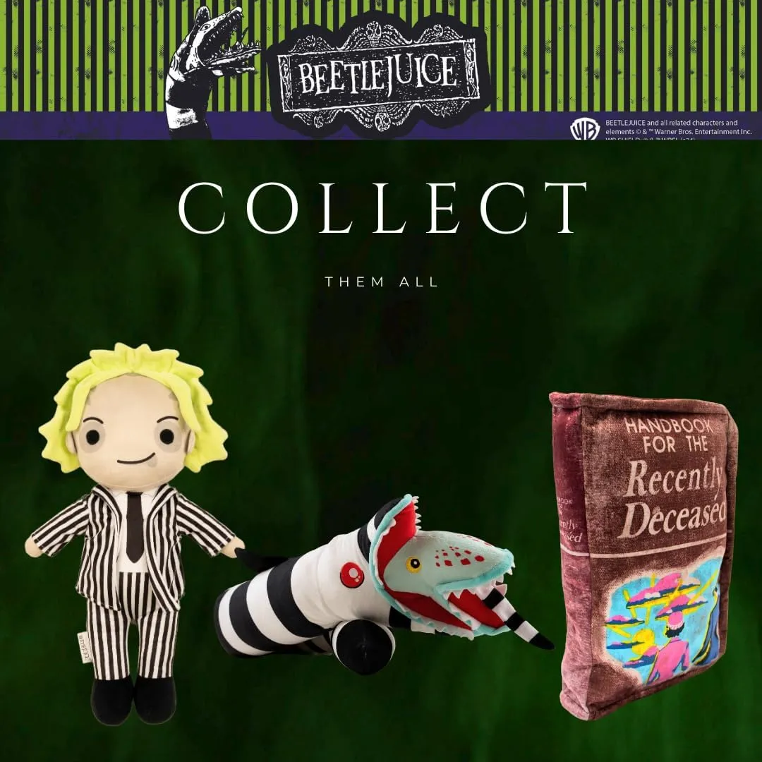 Beetlejuice Bedding Super Soft Cozy Decorative criterion stripe lower utility correlation revert Pillow, (Officially Licensed Product) By Franco Collectibles 