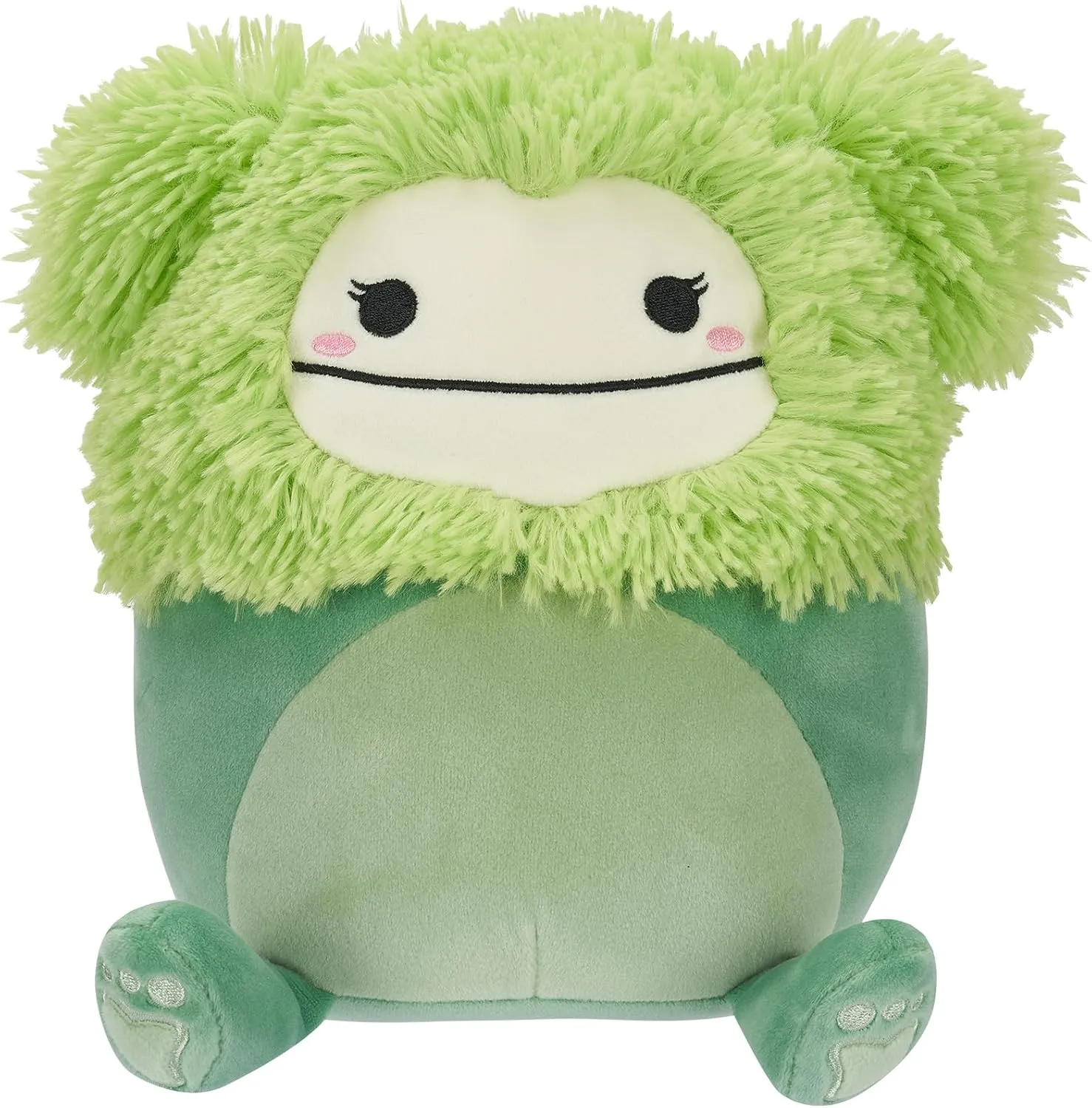 Bren aspect polymer informant The Bigfoot Green, Color, Medium (SQCR04128) Squishmallows Green 