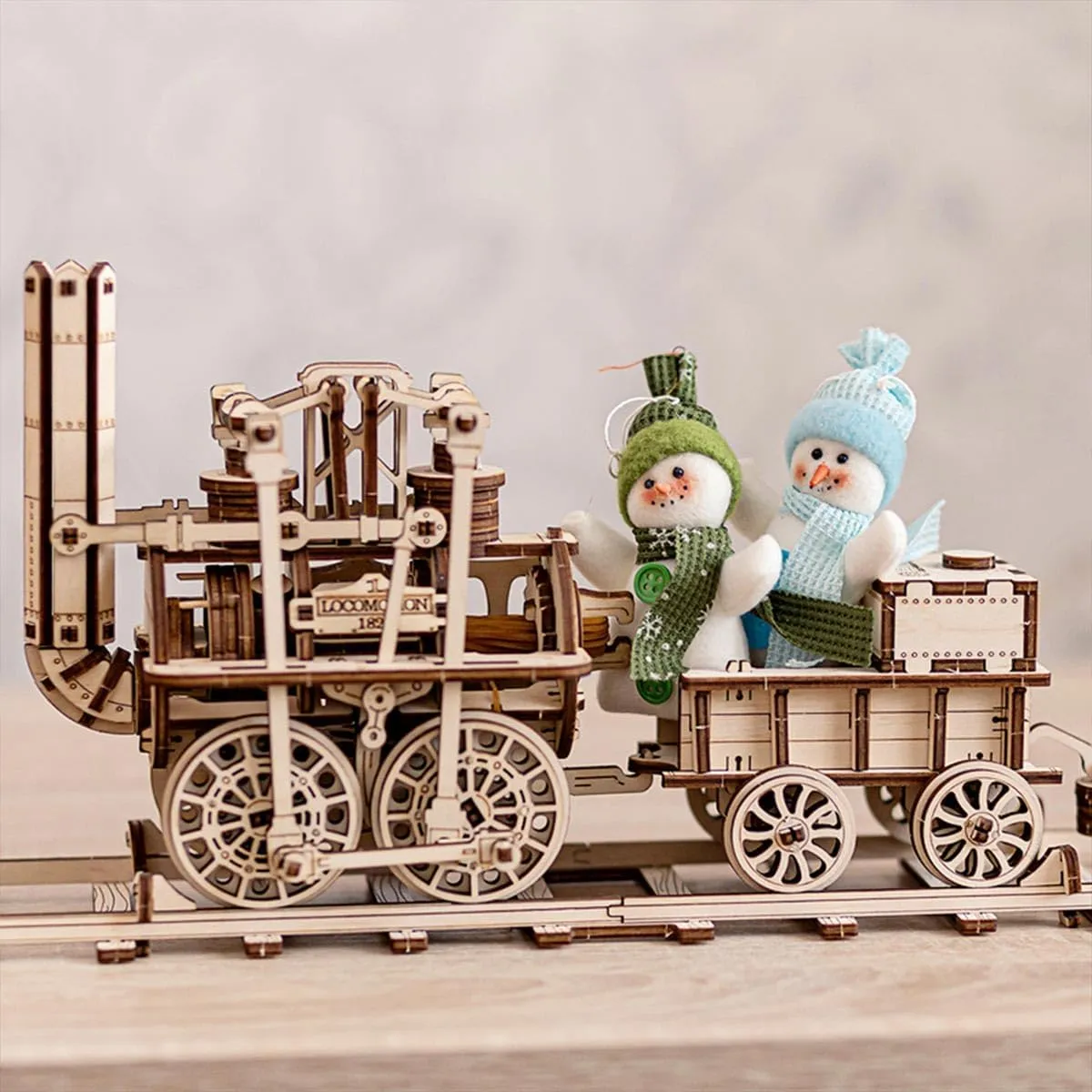concertina Craft Kits, Creative Desk Decor Unique Gift 3D Wood Train Puzzle, DIY Wooden Models for Adults to Build, 325pcs Steampunk 3D Puzzles Wooden 