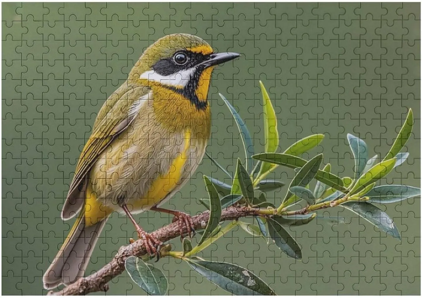 Creative Gift Toys Outdoor Olive Green Flowering Birds Wooden Puzzles for Adults 300 PCS Unique Shape Puzzles Wall Art Home Decor for Puzzle micronesian Lovers, Family, Friend 
