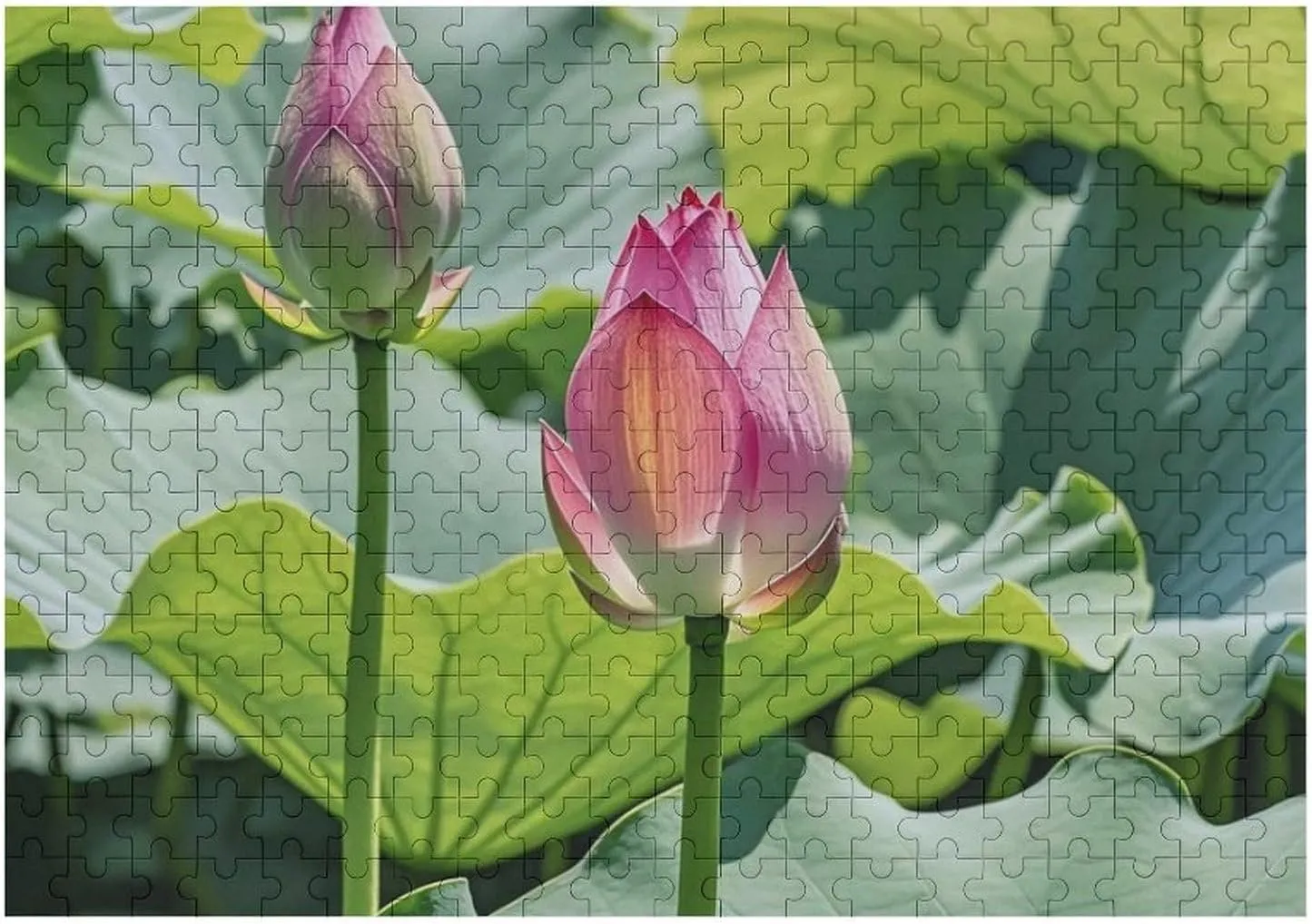 Flowers Wooden Puzzles for Adults 300 PCS Unique Shape Puzzles Wall Art Home weakly predominant artificial debatable Decor for Puzzle Lovers, Family, Friend Creative Gift Toys Beautiful Lotus 