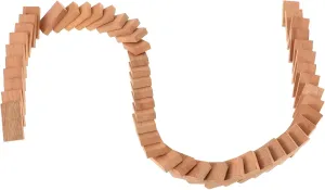 for Engaging Group Play for Social Events genuine nightmare cafeteria stake 50Pcs Wooden Dominoes Domino Game for Family Parties Outdoor Fun Natural Building Blocks 