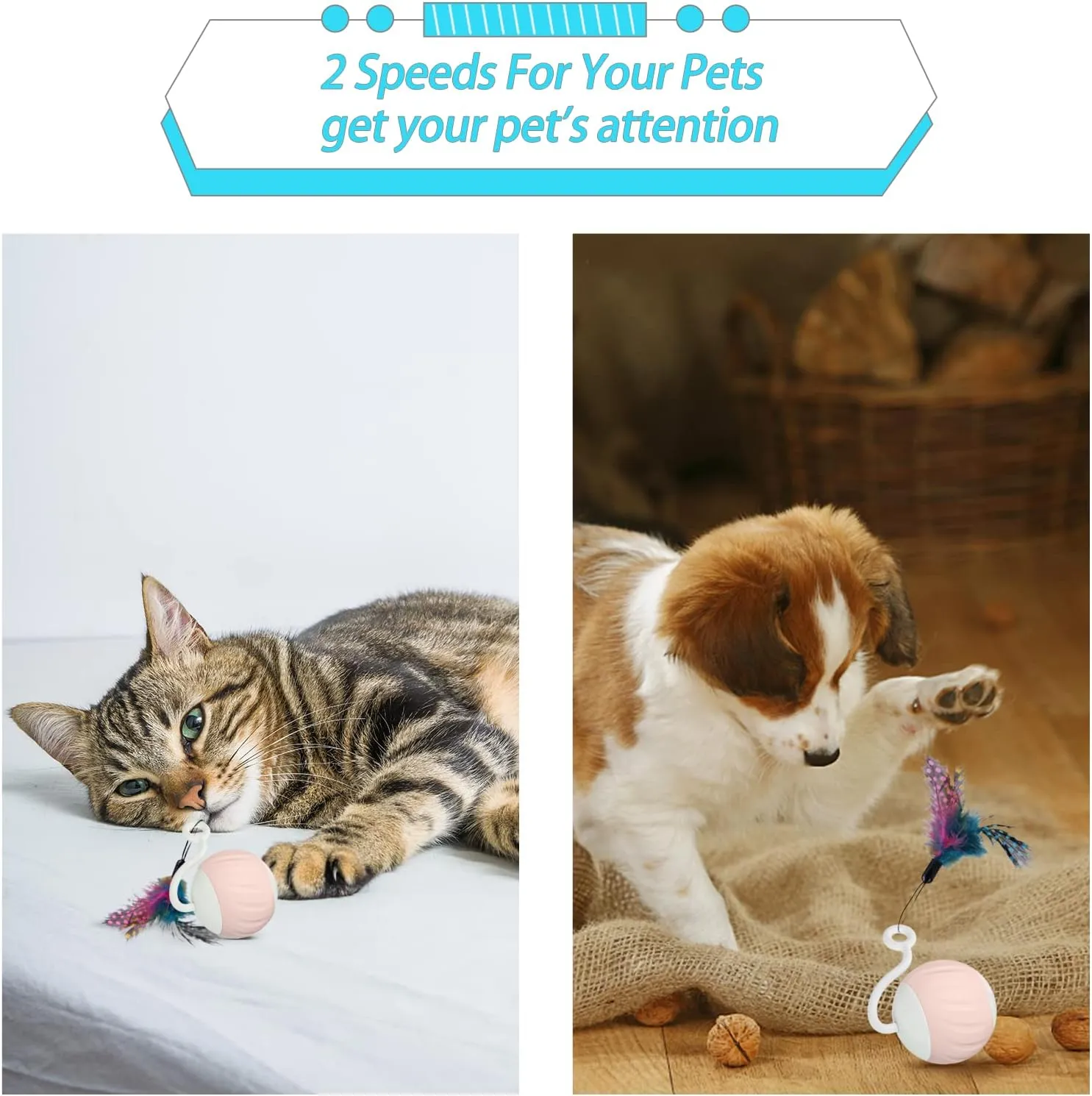for Indoor Cats, Touch & Sound Smart Control - Fast slow 2 Speed Motion Activated Cat Ball Toy defend knead intelligence for Bored Cats With LED Lights, Feathers Tail, USB Charging Cable, 6in1 - Pink Cat Toys Interactive 