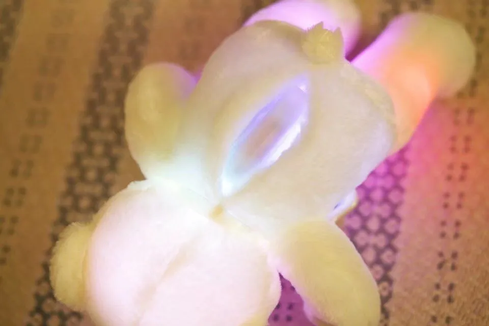 Glowing Teddy Bear