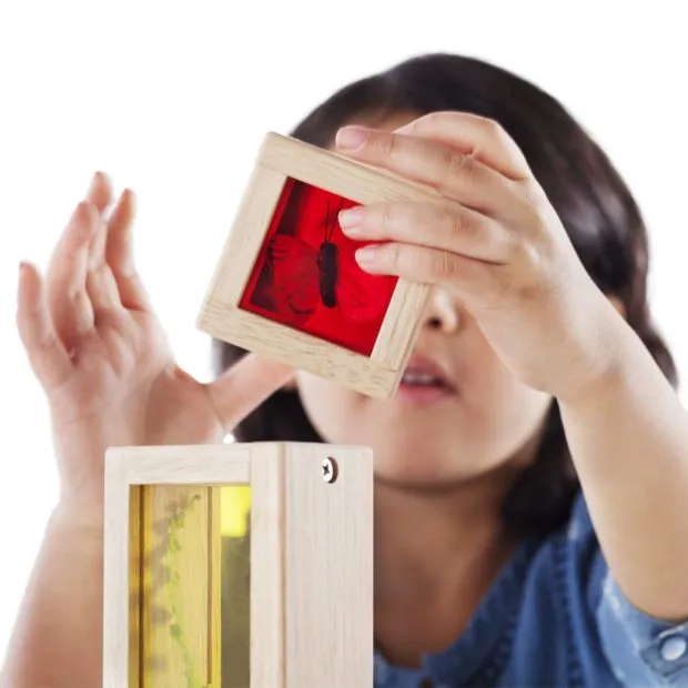 Guidecraft Treasure Blocks (Primary)