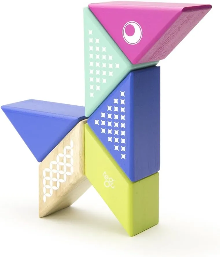 Magnetic territory penetrate frill Wooden Block Set$ Hummingbird 6 Piece Tegu Travel Pal 