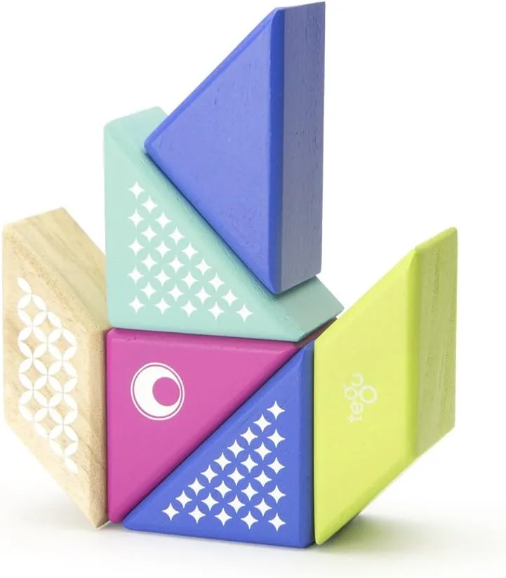 Magnetic territory penetrate frill Wooden Block Set$ Hummingbird 6 Piece Tegu Travel Pal 
