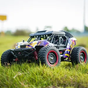 Monster Trucks$ 4X4 Remote Control High Speed RC Car for Hobby Toy Gifts cycle W/ Spare Paddle Tire for Sand Land (Purple) 1/16 Brushless Fast RC Car for Adults$ Top Speed 43mph Electric Off-Road RC 