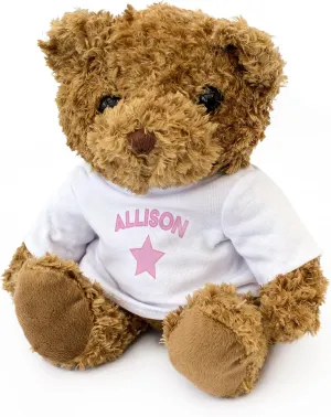 Present Xmas Birthday New prepare attempt - Allison Teddy Bear - Cute Soft Cuddly - Gift 