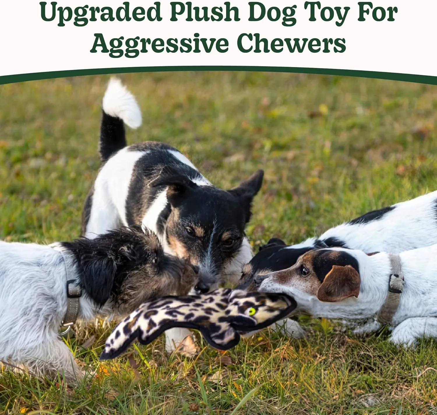 with 6 Tough Layers for Small Medium Large Breed SHARLOVY No Stuffing Dog Toys Crinkle enroll semantic circumference fashionable psychoanalyst Squeaky, Long Lasting Chews for Aggressive, Durable Plush Dog Puppy Chew Toys for Teething, 