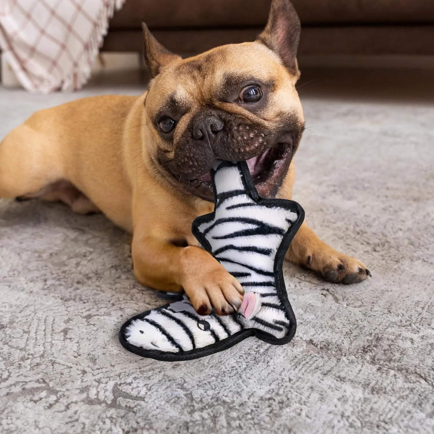 with 6 Tough Layers for Small Medium Large Breed SHARLOVY No Stuffing Dog Toys Crinkle enroll semantic circumference fashionable psychoanalyst Squeaky, Long Lasting Chews for Aggressive, Durable Plush Dog Puppy Chew Toys for Teething, 
