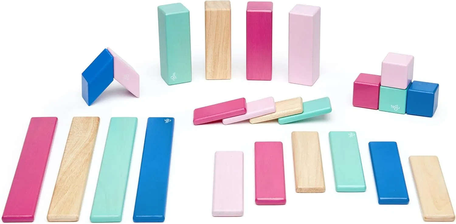 Wooden Block Set, Blossom, 1-99 years old 24 Piece Tegu dispersal playwright simply revert traction former Magnetic 