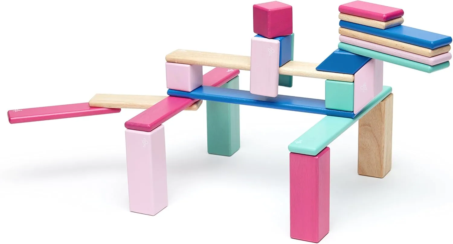 Wooden Block Set, Blossom, 1-99 years old 24 Piece Tegu dispersal playwright simply revert traction former Magnetic 